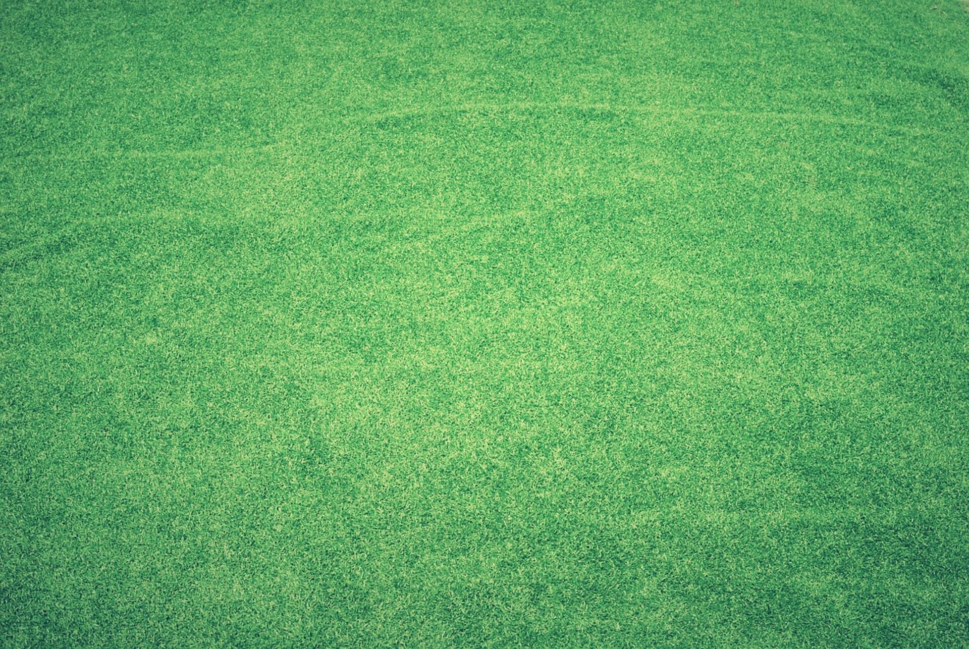 Lush green commercial landscape